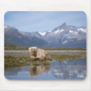 Search for steve mousepads Alaska