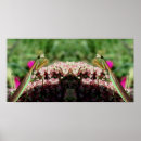 Search for praying mantis posters Flower