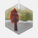 Search for cardinal photo christmas tree decorations Photograph