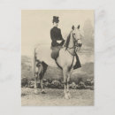 Search for saddles postcards Photograph
