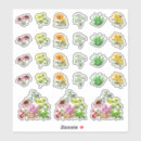 Search for medicine stickers Herbal