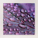 Search for drop leafs photography Rain