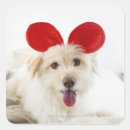 Search for beds stickers Dogs