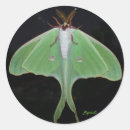 Search for luna moth stickers Nature