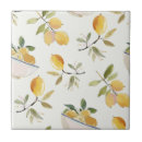 Search for french country tiles Mediterranean