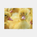 Search for duck blankets Animal