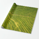Search for portugal wrapping paper Azores