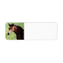 Search for equine return address labels Equestrian