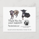 Search for amazone postcards Animals