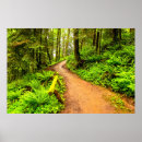 Search for footpath posters Woods
