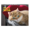 Search for cat office supplies Cute
