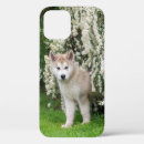Search for alaskan malamute iphone cases Dog
