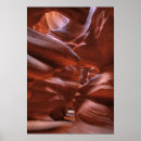 Search for light reflection posters Nature