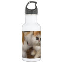 Search for cuddly drinkware Kitten