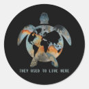 Search for turtle lover stickers Turtles