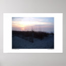 Search for seagrass art Ocean