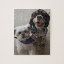 Search for cocker spaniel puzzles Cute