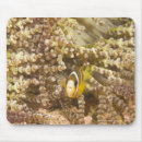 Search for wild one mousepads Animals in the wild