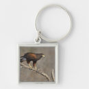 Search for raptor bird key rings Hunter