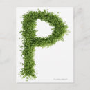 Search for cress Freshness