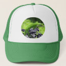 Search for green lizard hats Pet