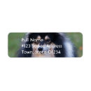 Search for sheltie return address labels Dogs