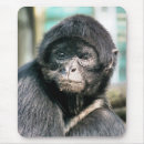 Search for cute monkey mousepads Animals