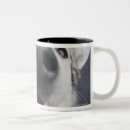 Search for height mugs Vertical