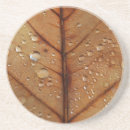 Search for fall colours coasters Brown