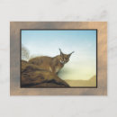 Search for lynxes postcards Cats