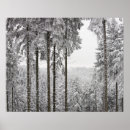 Search for cold season posters Trees