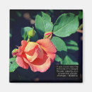 Search for budding magnets Flower