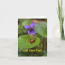 Search for viola photography Flower
