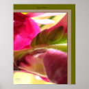 Search for spring birthday art Photography