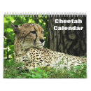 Search for cheetah calendars Animals
