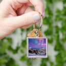 Search for northern lights aurora key rings Mountain
