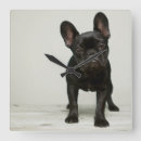 Search for french bulldog nursery decor Puppy