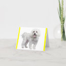 Search for blank birthday cards Puppies