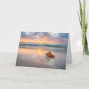 Search for conch shell cards Beach