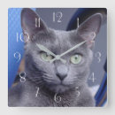 Search for russian clocks Pet