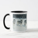 Search for pack wolves mugs Nature