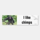 Search for chimpanzee bumper stickers Chimps