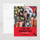 Search for funny dog picture postcards For pets