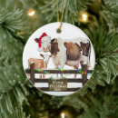 Search for fencing christmas tree decorations Farm