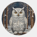 Search for winter owls stickers Bird