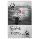 Search for squirrel lovers Wildlife