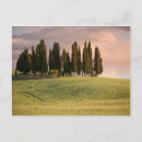 Search for cypress postcards Artistic