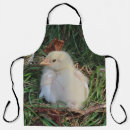 Search for hen aprons Egg