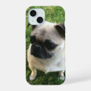 Search for pug puppy iphone cases Pugs