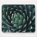 Search for agave electronics Garden